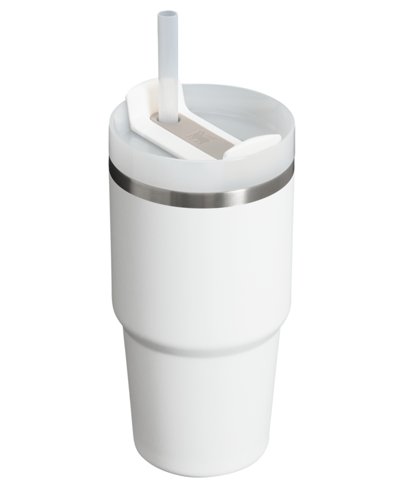 Stanley Quencher H2.O FlowState 20 oz Tumbler-Frost — REAL Watersports
