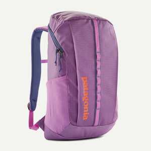 Patagonia Black Hole 25L Backpack-Brisk Purple
