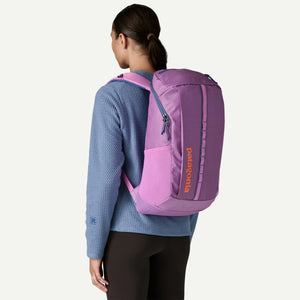 Patagonia Black Hole 25L Backpack-Brisk Purple