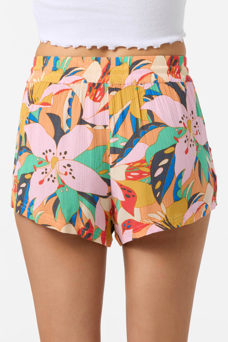 O'Neill Keagan Cabana Shorts-Multi Clr