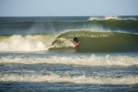 Days of Perfection : Hurricane Nicole's Incredible Swell