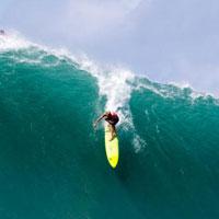 All Aboard the Crazy Train: JJF's Eddie-Winning Gun