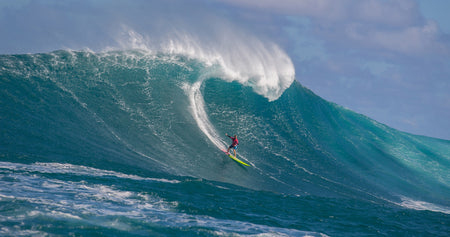 Paige Alms Film Premiere