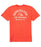 Quiksilver Classic Arch Tee-Cayenne