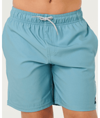 Rip Curl Boys' Daily Volley Boardshorts-Blue Lagoon
