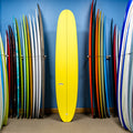 CJ Nelson Slasher Low Pro Thunderbolt Silver 9'6"