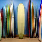 Bing Continental PU/Poly 9'6"