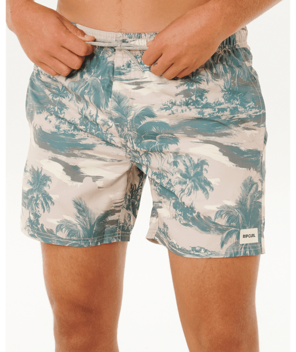 Rip Curl Dreamers Volley Boardshorts-Fatigue