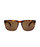 Electric Knoxville XL Sunglasses-Gloss Tort/Bronze Polar