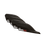 Core EQ Pro Fin Set