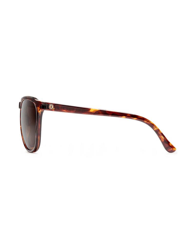Electric Encelia Sunglasses-Gloss Tort/Bronze Polar