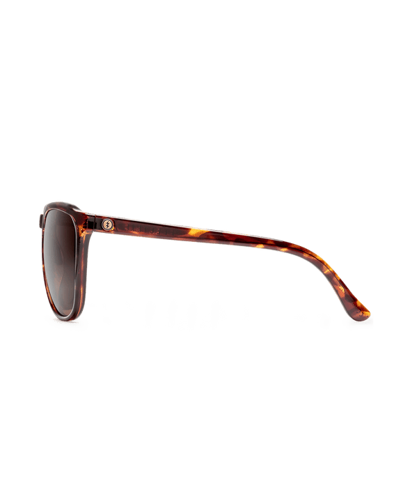 Electric Encelia Sunglasses-Gloss Tort/Bronze Polar