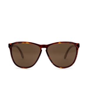 Electric Encelia Sunglasses-Gloss Tort/Bronze Polar