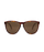 Electric Encelia Sunglasses-Gloss Tort/Bronze Polar