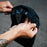 Catch Surf Stealth Camp Hat-Black