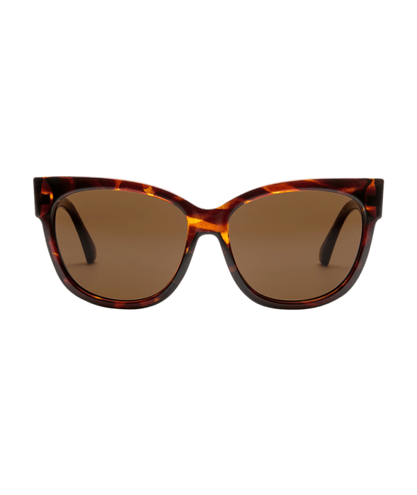 Electric Danger Cat Sunglasses-Gloss Tort/Bronze Polar