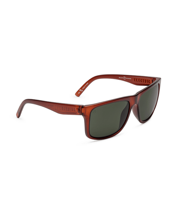 Electric swingarm xl polarized shop