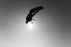 2025 Naish Monarch Nvision Kiteboard