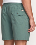 Billabong Mario Shorts-Pine