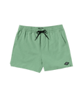 Billabong Every Other Day LB Boardshorts-Moss