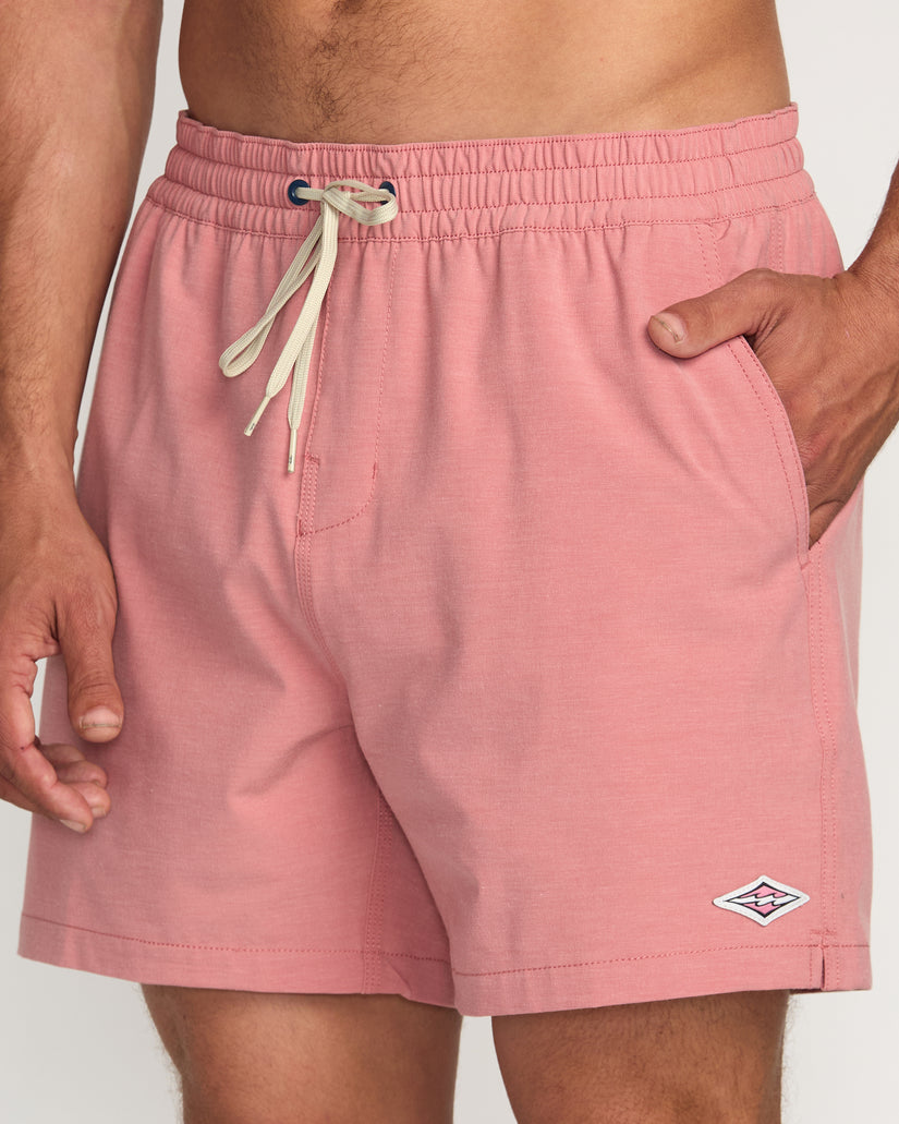 Billabong Every Other Day Lb Boardshorts-Dusty Rose