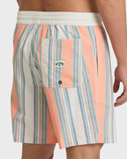 Billabong Good Times LB Boardshorts-Multi