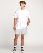 Billabong Crossfire 17 Submersible Shorts-Ash Blue