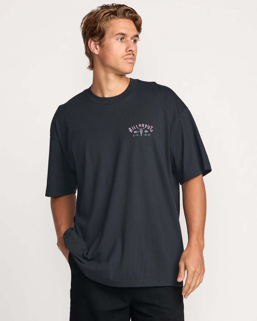 Billabong Raging Bull Regular Tee-Washed Black