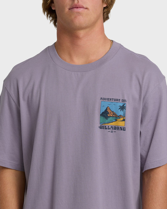 Billabong Post Cards Adiv Premium Tee-Purple Ash