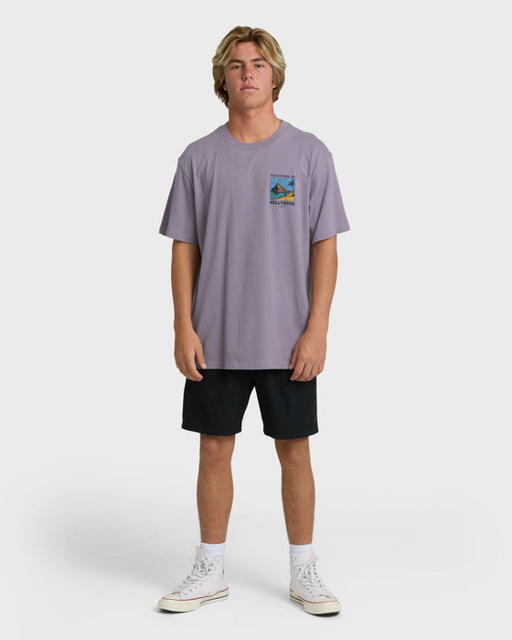 Billabong Post Cards Adiv Premium Tee-Purple Ash