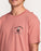 Billabong Agave Adiv Tee-Dusty Rose