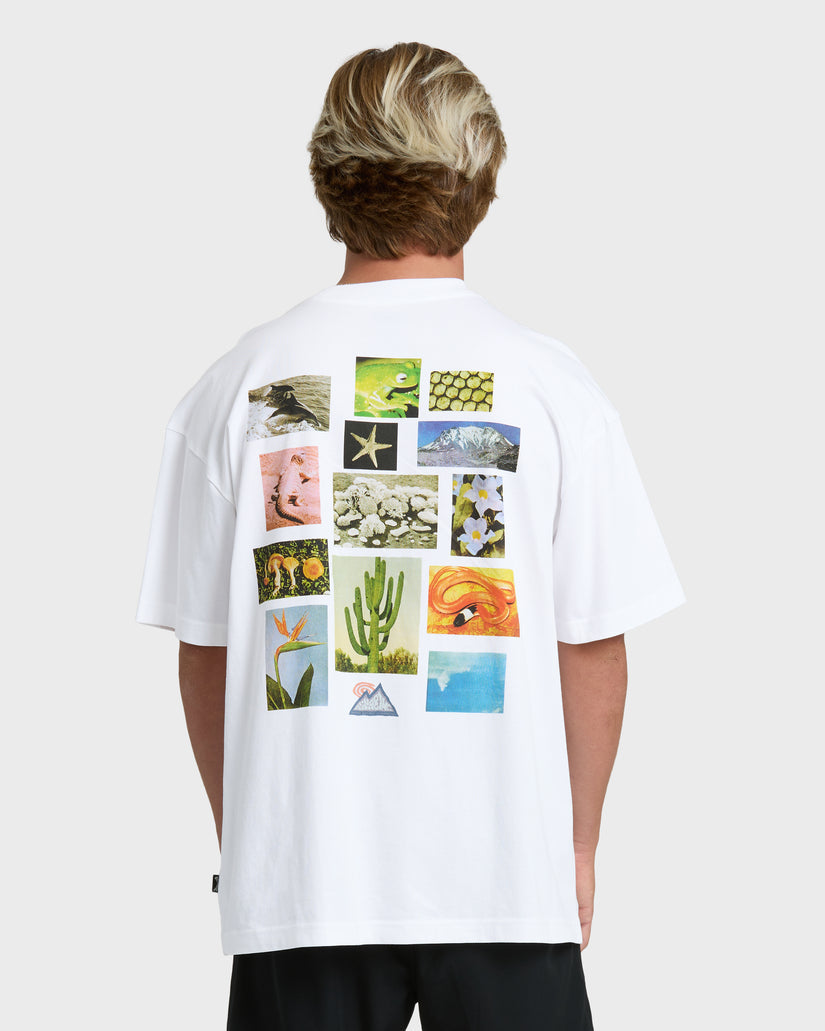 Billabong Moments Adiv OG Tee-White