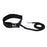 Ride Engine Quick Release Bungee Waist Leash