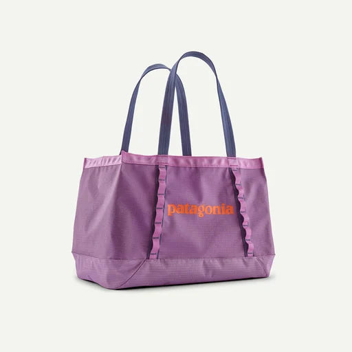 Patagonia Black Hole Tote 25L Bag-Brisk Purple