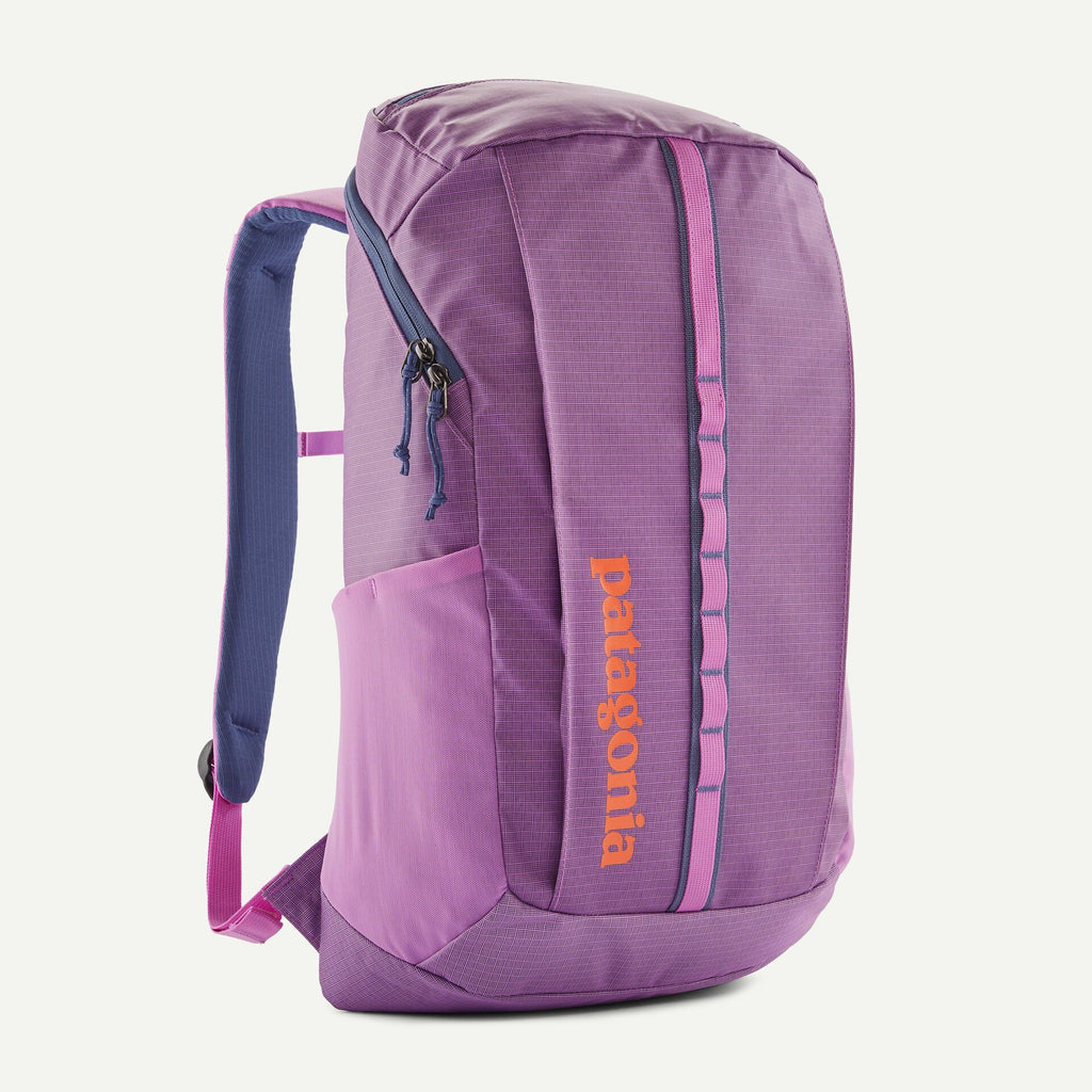 Patagonia Black Hole 25L Backpack-Brisk Purple