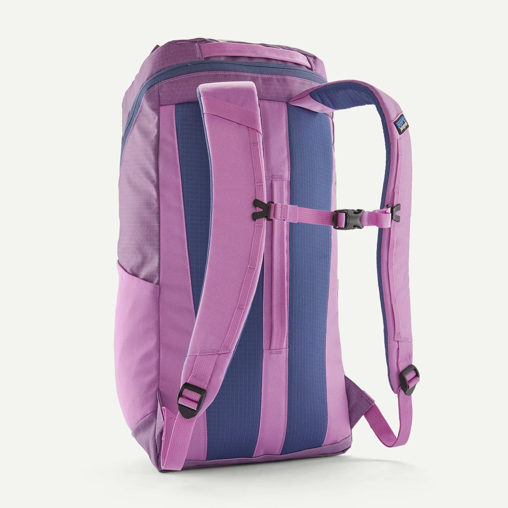 Patagonia Black Hole 25L Backpack-Brisk Purple