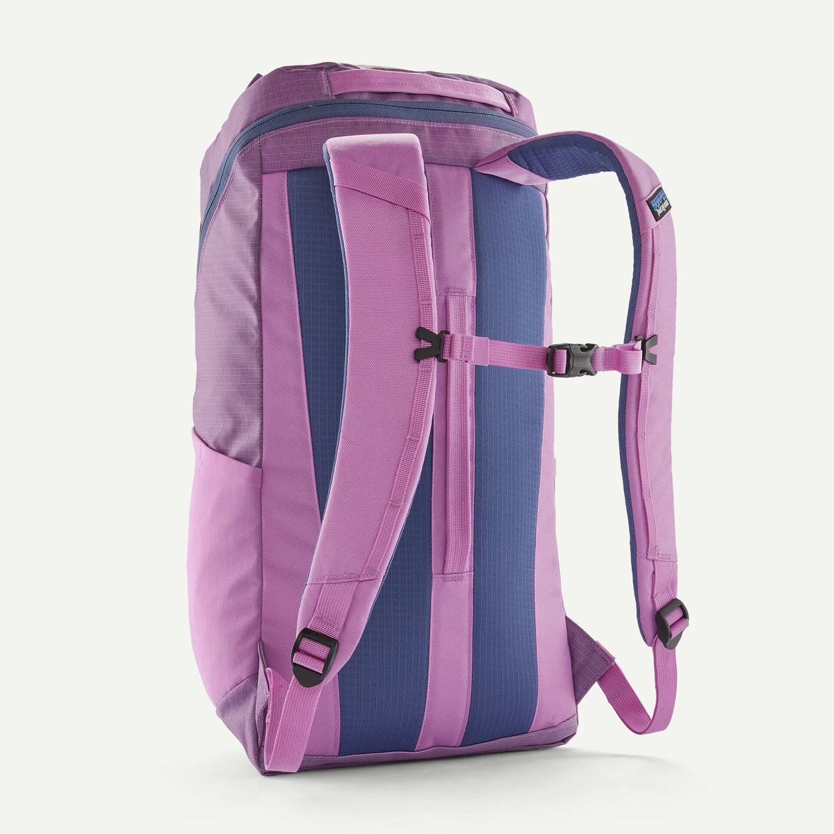Patagonia Black Hole 25L Backpack-Brisk Purple