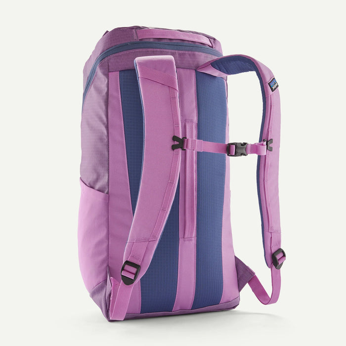 Patagonia Black Hole 25L Backpack-Brisk Purple