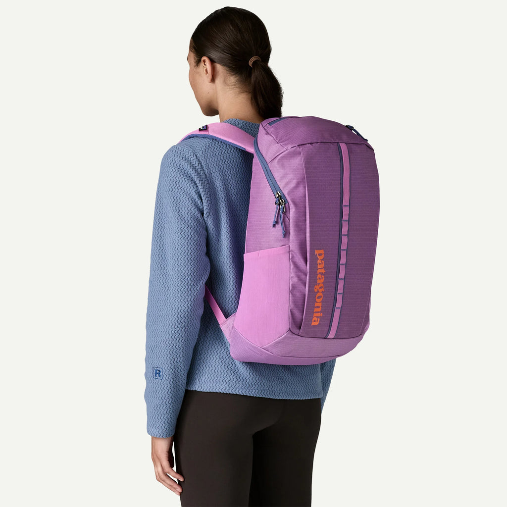 Patagonia Black Hole 25L Backpack-Brisk Purple