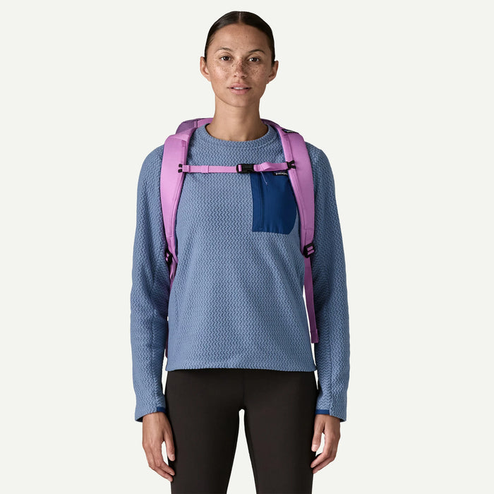 Patagonia Black Hole 25L Backpack-Brisk Purple