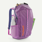 Patagonia Black Hole 25L Backpack-Brisk Purple