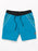 Volcom Stone V Liberators 19 Boardshorts-Ocean Teal