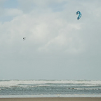 Reedin MasterModel Kite