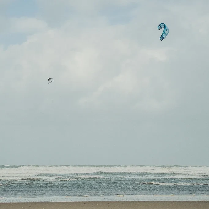 Reedin MasterModel Kite