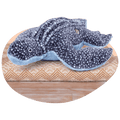 Fahlo The Journey Plush-Leatherback Turtle