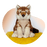 Fahlo The Scout Plush-Red Wolf