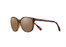 Cordina Shoreline Sunglasses-Shiny Tort/Bronze Mirror Polar