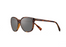 Cordina Shoreline Sunglasses-Shiny Tort/Grey Polar