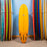 Bing Collector PU/Poly 7'2"