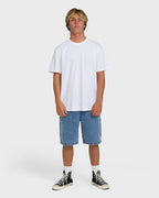 Billabong Bad Dog 22 Shorts-Faded Denim